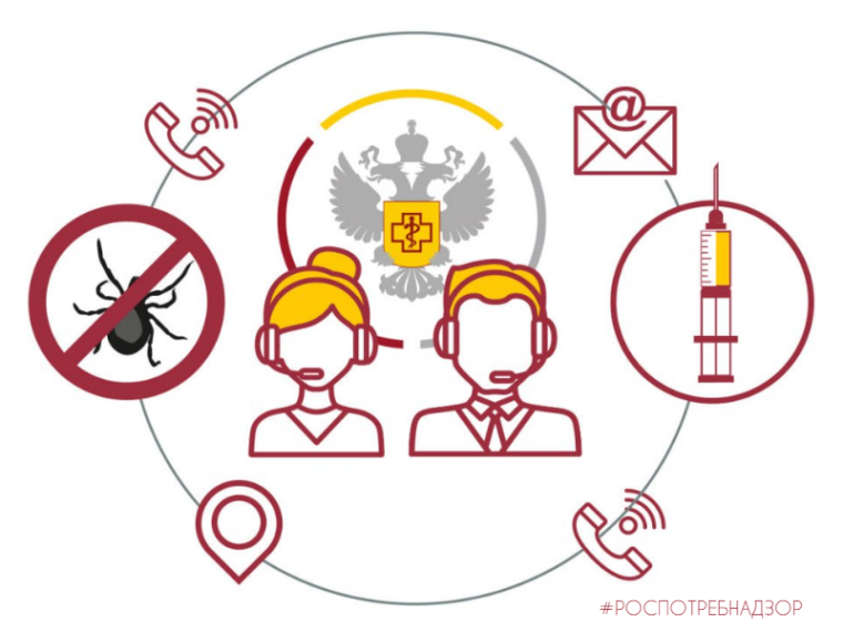 О Всероссийской горячей линии по профилактике клещевого энцефалита и инфекций, передающихся клещами.
